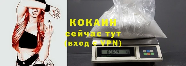 сатива Дмитровск