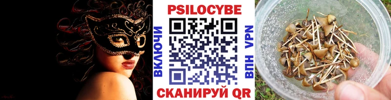 Псилоцибиновые грибы Psilocybe  где найти наркотики  Питкяранта 